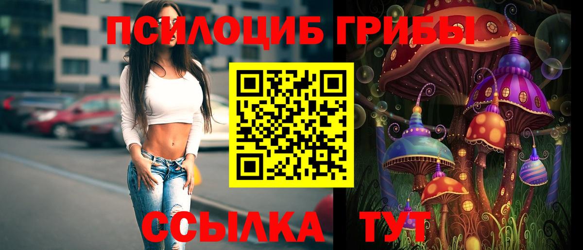 Галлюциногенные грибы мицелий Полысаево